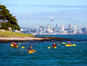 Auckland Kayak tour to Motukorea Island for Cruise Ship Passengers 2